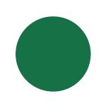 RUPES PROCUT Film Abrasive Discs 75mm (3") - No Holes - P1500 Grit *Box of 50pcs